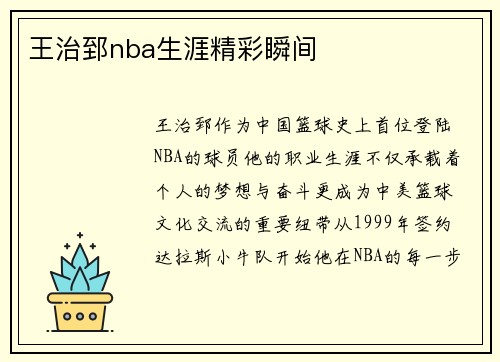 王治郅nba生涯精彩瞬间